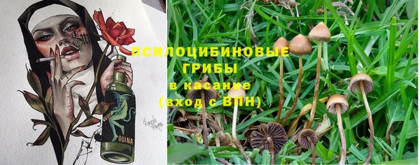 а пвп мука Алзамай