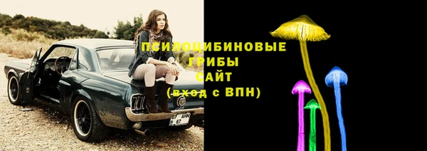 а пвп мука Алзамай