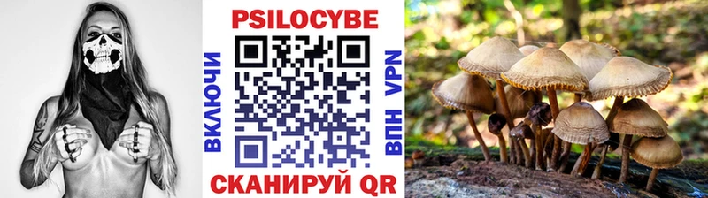 Галлюциногенные грибы прущие грибы сколько стоит Бодайбо